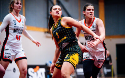 Žvėriškai kovojusi „Šiaulių-Vilmers“ ekipa baigė pasirodymą Baltijos lygoje